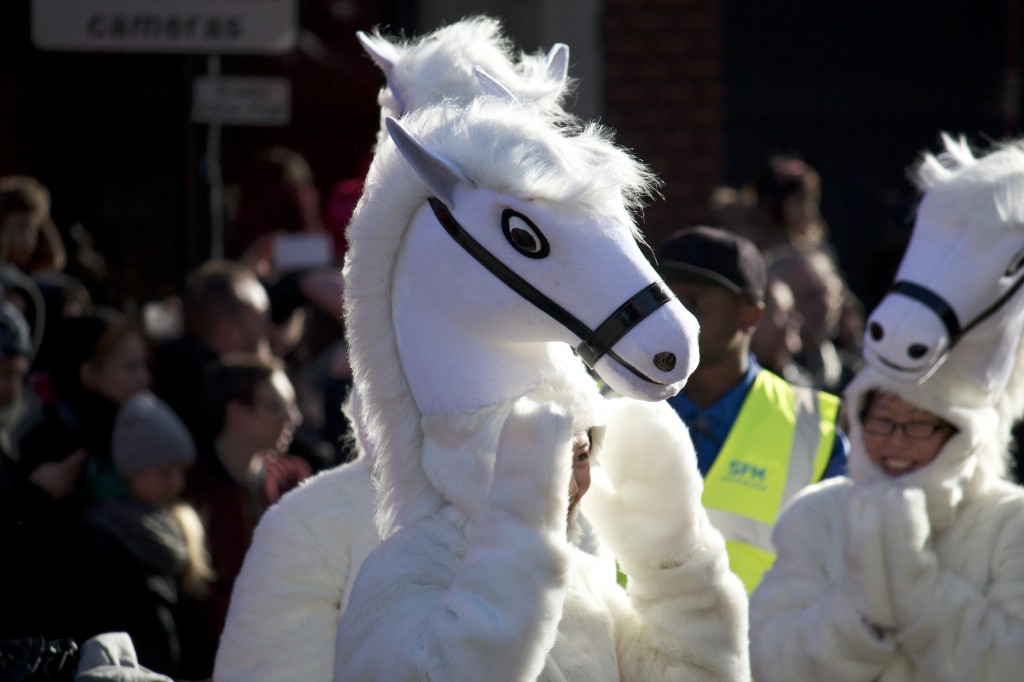 Happy horse